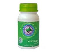 Medi Mushrooms -  Cordyceps - Elixir of Life