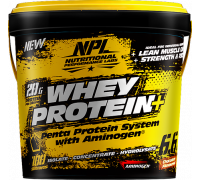 NPL -  Whey Protein + - Chocolate