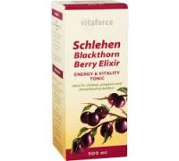 Vitaforce -  Schlehen Elixir